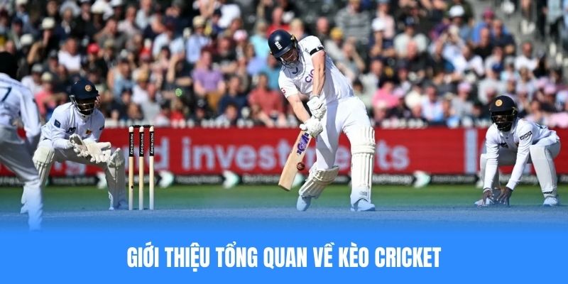 Cá Cược Cricket Bet88 Là Gì? Cách Soi Kèo Dễ Thắng Nhất 2025 Giới thiệu tổng quan về cá cược cricket