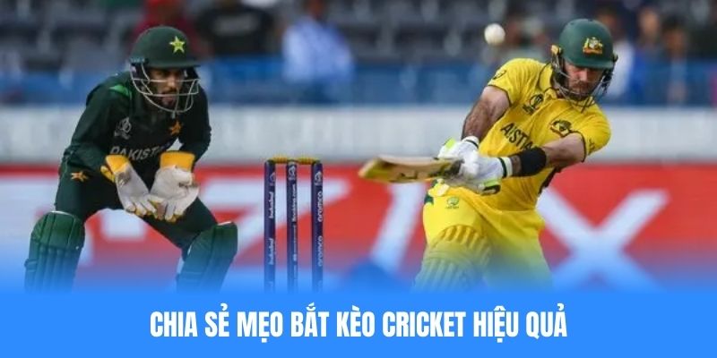 Cá Cược Cricket Bet88 Là Gì? Cách Soi Kèo Dễ Thắng Nhất 2025 Chia sẻ mẹo cá cược Cricket siêu hiệu quả