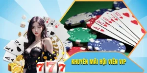 Khuyến Mãi Hội Viên VIP cho người chơi cổng game bet88
