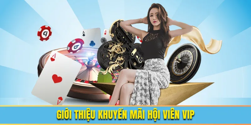 Khuyến Mãi Hội Viên VIP Cho Thành Viên Thân Thiết BET88 Giới thiệu khuyến mãi hội viên vip