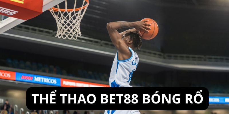 Sân chơi bóng rổ nhận được nhiều lượt yêu thích hiện nay